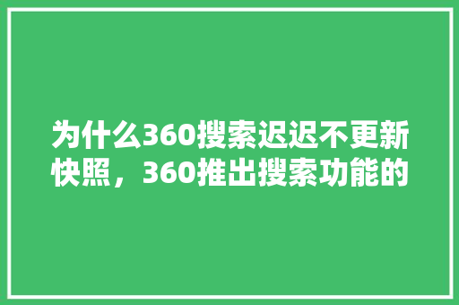 为什么360搜索迟迟不更新快照，360推出搜索功能的时间 神马SEO