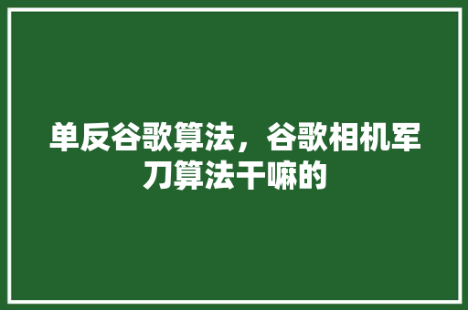 单反谷歌算法，谷歌相机军刀算法干嘛的 神马SEO