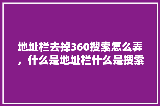 地址栏去掉360搜索怎么弄，什么是地址栏什么是搜索栏 GoogleSEO