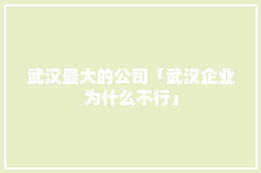 武汉最大的公司「武汉企业为什么不行」 武汉最大的公司「武汉企业为什么不行」 必应SEO