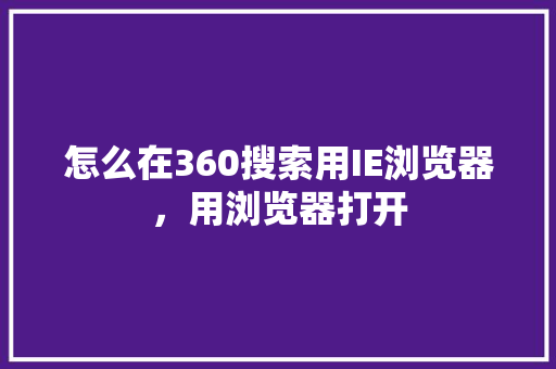 怎么在360搜索用IE浏览器，用浏览器打开 GoogleSEO