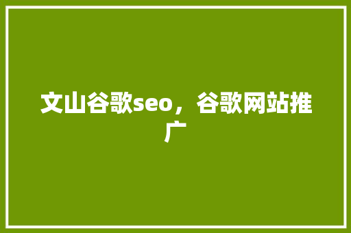 文山谷歌seo，谷歌网站推广