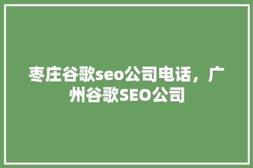 枣庄谷歌seo公司电话，广州谷歌SEO公司