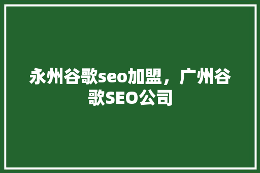 永州谷歌seo加盟，广州谷歌SEO公司