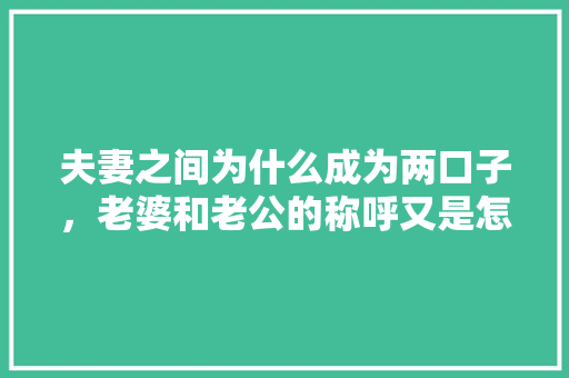夫妻之间为什么成为两口子，老婆和老公的称呼又是怎么来的呢「网络作家为什么叫太太呢」 夫妻之间为什么成为两口子，老婆和老公的称呼又是怎么来的呢「网络作家为什么叫太太呢」 百度SEO