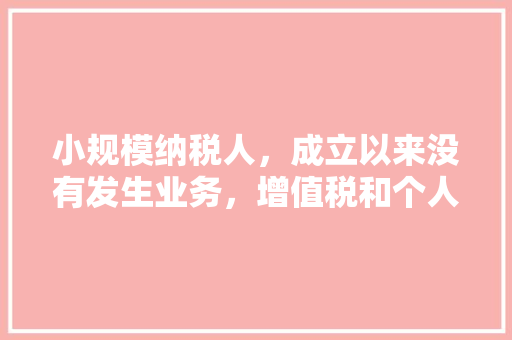 小规模纳税人，成立以来没有发生业务，增值税和个人所得税需要零申报吗「买的打印机为什么还收税呢」 小规模纳税人，成立以来没有发生业务，增值税和个人所得税需要零申报吗「买的打印机为什么还收税呢」 百度SEO
