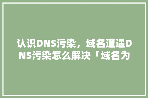 认识DNS污染，域名遭遇DNS污染怎么解决「域名为什么会被墙呢」 认识DNS污染，域名遭遇DNS污染怎么解决「域名为什么会被墙呢」 搜狗SEO