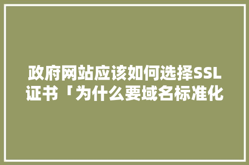 政府网站应该如何选择SSL证书「为什么要域名标准化呢」 政府网站应该如何选择SSL证书「为什么要域名标准化呢」 百度SEO