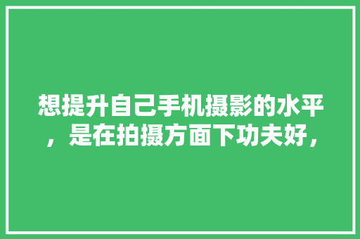 想提升自己手机摄影的水平，是在拍摄方面下功夫好，还是在后期修图方面下功夫好？为什么「为什么前期制作很重要呢」 想提升自己手机摄影的水平，是在拍摄方面下功夫好，还是在后期修图方面下功夫好？为什么「为什么前期制作很重要呢」 必应SEO