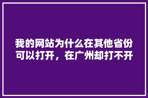 我的网站为什么在其他省份可以打开，在广州却打不开「做了网站为什么搜不到了」 我的网站为什么在其他省份可以打开，在广州却打不开「做了网站为什么搜不到了」 GoogleSEO