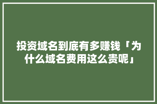 投资域名到底有多赚钱「为什么域名费用这么贵呢」 投资域名到底有多赚钱「为什么域名费用这么贵呢」 百度SEO