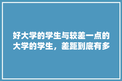 好大学的学生与较差一点的大学的学生，差距到底有多大「vipkid为什么那么贵」 好大学的学生与较差一点的大学的学生，差距到底有多大「vipkid为什么那么贵」 必应SEO