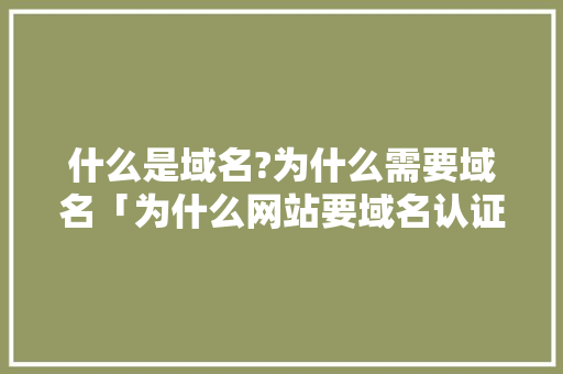 什么是域名?为什么需要域名「为什么网站要域名认证」 什么是域名?为什么需要域名「为什么网站要域名认证」 搜狗SEO