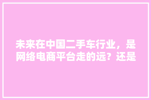 未来在中国二手车行业，是网络电商平台走的远？还是二手车展厅实体店走的远「二手车为什么做网站这么赚钱」 未来在中国二手车行业，是网络电商平台走的远？还是二手车展厅实体店走的远「二手车为什么做网站这么赚钱」 神马SEO