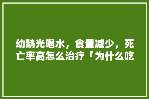 幼鹅光喝水，食量减少，死亡率高怎么治疗「为什么吃了鹅肉就会发烧呢」 幼鹅光喝水，食量减少，死亡率高怎么治疗「为什么吃了鹅肉就会发烧呢」 神马SEO