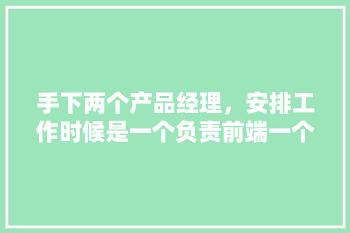 手下两个产品经理，安排工作时候是一个负责前端一个负责后端，还是一个人负责一个模块「项目经理为什么后端不能做」 手下两个产品经理，安排工作时候是一个负责前端一个负责后端，还是一个人负责一个模块「项目经理为什么后端不能做」 百度SEO