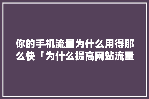 你的手机流量为什么用得那么快「为什么提高网站流量呢」 你的手机流量为什么用得那么快「为什么提高网站流量呢」 必应SEO
