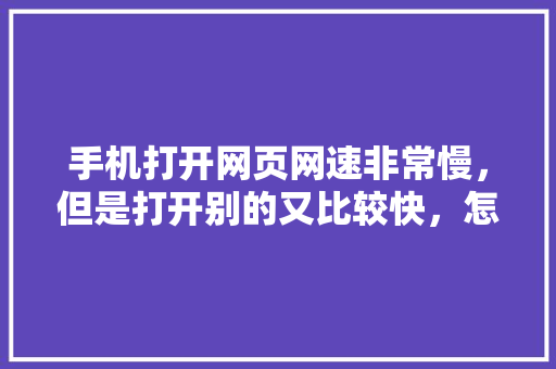 手机打开网页网速非常慢，但是打开别的又比较快，怎么回事「为什么网页加载很慢怎么回事」