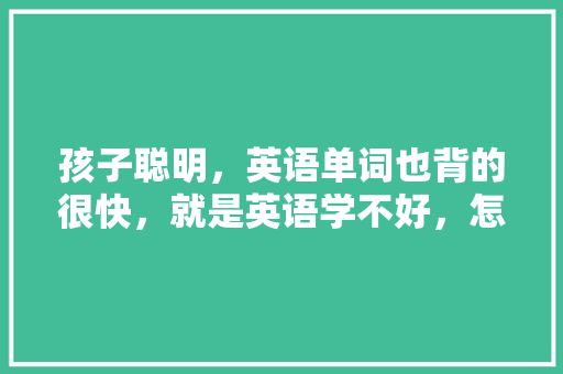 孩子聪明，英语单词也背的很快，就是英语学不好，怎么办「为什么小时候背单词很快长大就变慢」 孩子聪明，英语单词也背的很快，就是英语学不好，怎么办「为什么小时候背单词很快长大就变慢」 必应SEO