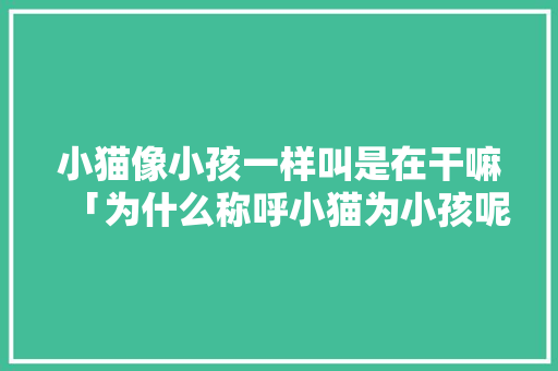 小猫像小孩一样叫是在干嘛「为什么称呼小猫为小孩呢」 小猫像小孩一样叫是在干嘛「为什么称呼小猫为小孩呢」 百度SEO