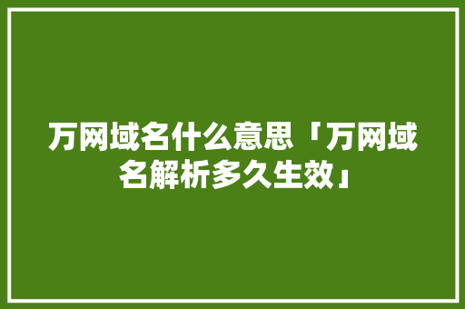 万网域名什么意思「万网域名解析多久生效」 万网域名什么意思「万网域名解析多久生效」 神马SEO