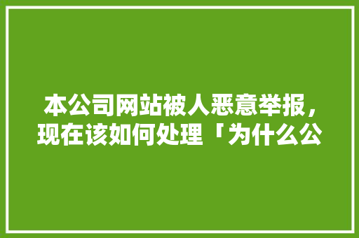 本公司网站被人恶意举报，现在该如何处理「为什么公司网站被禁用」 本公司网站被人恶意举报，现在该如何处理「为什么公司网站被禁用」 百度SEO
