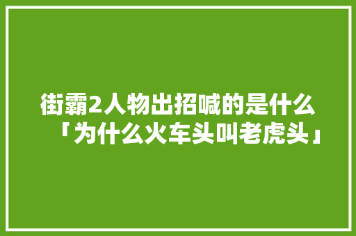 街霸2人物出招喊的是什么「为什么火车头叫老虎头」 街霸2人物出招喊的是什么「为什么火车头叫老虎头」 GoogleSEO