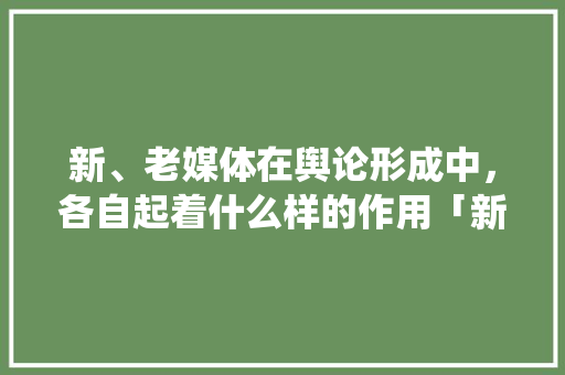 新、老媒体在舆论形成中，各自起着什么样的作用「新媒体为什么需要传统话题呢」 新、老媒体在舆论形成中，各自起着什么样的作用「新媒体为什么需要传统话题呢」 GoogleSEO