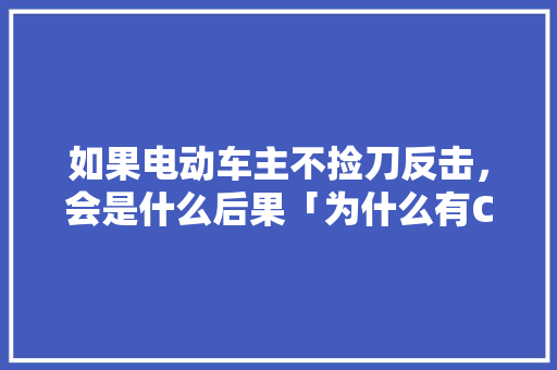 如果电动车主不捡刀反击，会是什么后果「为什么有CCTV5+」 如果电动车主不捡刀反击，会是什么后果「为什么有CCTV5+」 必应SEO