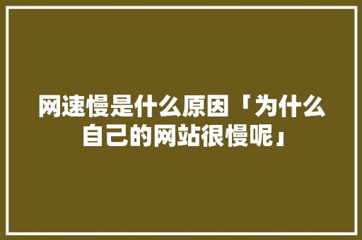 网速慢是什么原因「为什么自己的网站很慢呢」 网速慢是什么原因「为什么自己的网站很慢呢」 GoogleSEO