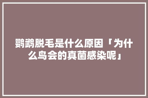 鹦鹉脱毛是什么原因「为什么鸟会的真菌感染呢」 鹦鹉脱毛是什么原因「为什么鸟会的真菌感染呢」 搜狗SEO