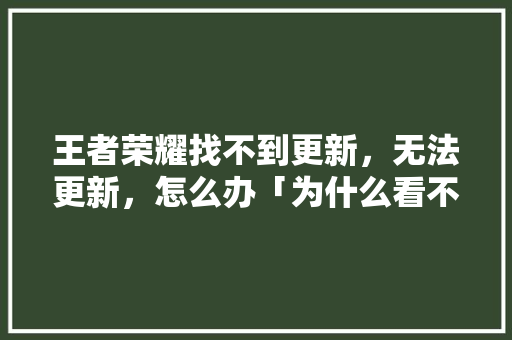王者荣耀找不到更新，无法更新，怎么办「为什么看不到网页更新内容」 王者荣耀找不到更新，无法更新，怎么办「为什么看不到网页更新内容」 GoogleSEO