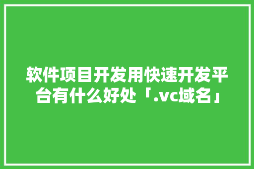 软件项目开发用快速开发平台有什么好处「.vc域名」 软件项目开发用快速开发平台有什么好处「.vc域名」 神马SEO