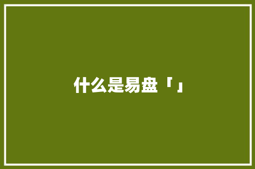 什么是易盘「」 什么是易盘「」 百度SEO