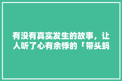 有没有真实发生的故事，让人听了心有余悸的「带头蚂蚁为什么会转圈圈」 有没有真实发生的故事，让人听了心有余悸的「带头蚂蚁为什么会转圈圈」 GoogleSEO