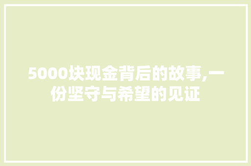 5000块现金背后的故事,一份坚守与希望的见证 5000块现金背后的故事,一份坚守与希望的见证 GoogleSEO