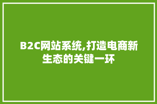 B2C网站系统,打造电商新生态的关键一环 B2C网站系统,打造电商新生态的关键一环 百度SEO