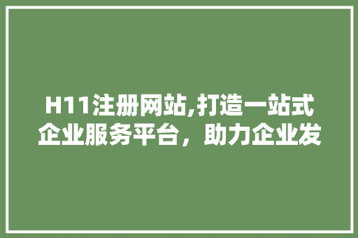H11注册网站,打造一站式企业服务平台，助力企业发展新篇章