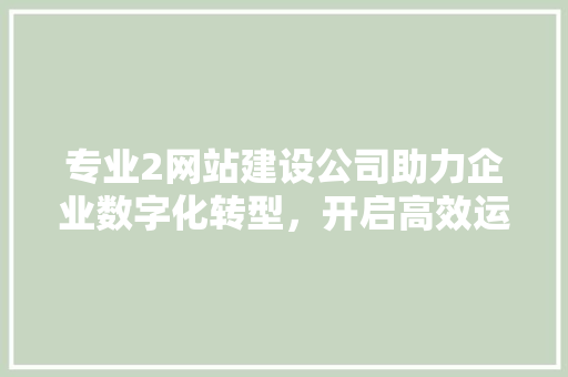 专业2网站建设公司助力企业数字化转型，开启高效运营新时代 专业2网站建设公司助力企业数字化转型，开启高效运营新时代 神马SEO