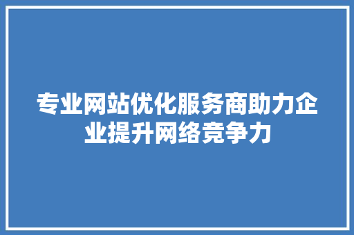 专业网站优化服务商助力企业提升网络竞争力 专业网站优化服务商助力企业提升网络竞争力 百度SEO