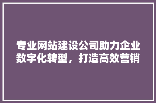 专业网站建设公司助力企业数字化转型，打造高效营销新格局