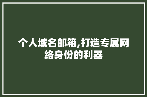 个人域名邮箱,打造专属网络身份的利器