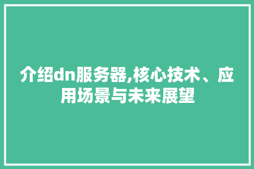 介绍dn服务器,核心技术、应用场景与未来展望 介绍dn服务器,核心技术、应用场景与未来展望 百度SEO