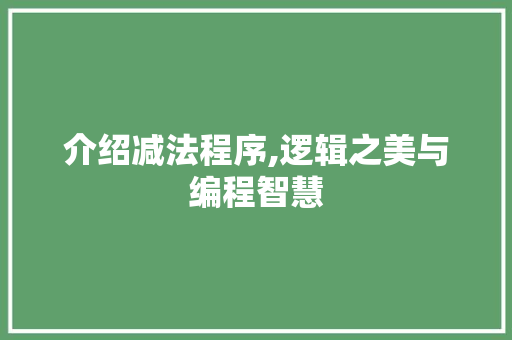 介绍减法程序,逻辑之美与编程智慧