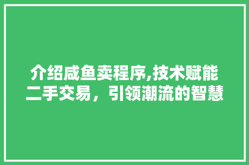 介绍咸鱼卖程序,技术赋能二手交易，引领潮流的智慧之光