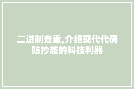 二进制查重,介绍现代代码防抄袭的科技利器