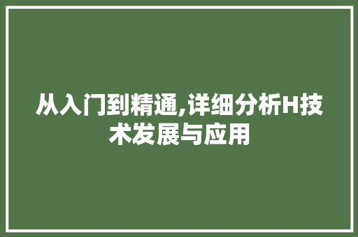 从入门到精通,详细分析H技术发展与应用 从入门到精通,详细分析H技术发展与应用 神马SEO