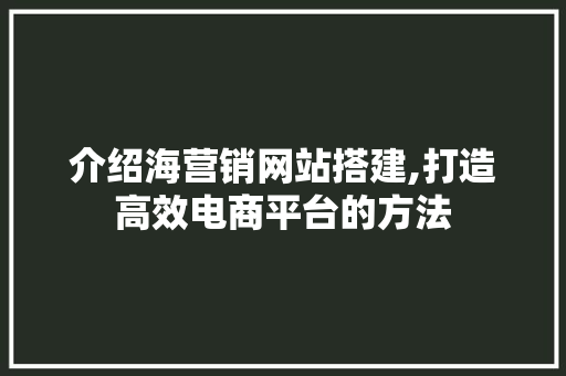 介绍海营销网站搭建,打造高效电商平台的方法 介绍海营销网站搭建,打造高效电商平台的方法 必应SEO