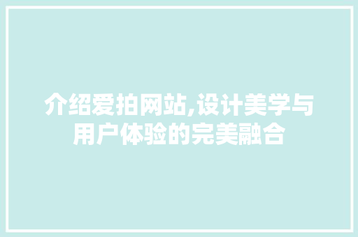 介绍爱拍网站,设计美学与用户体验的完美融合