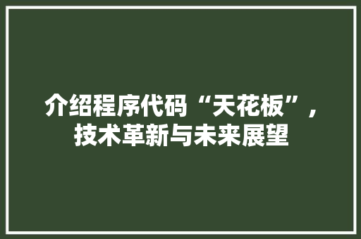 介绍程序代码“天花板”,技术革新与未来展望 介绍程序代码“天花板”,技术革新与未来展望 百度SEO